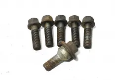 Болт тормозного суппорта RENAULT TRUCKS Magnum Dxi (01.05-12.13)