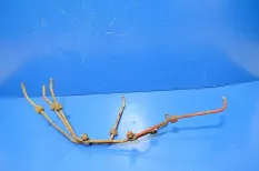 Топливные трубки, комплект IVECO EuroStar (01.93-12.02)