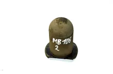 Отбойник, передний мост MERCEDES-BENZ Actros MP2/MP3 (01.02-12.14)