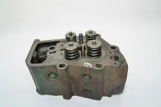 Головка блока цилиндров VOLVO F16 (01.87-12.94)