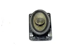 Динамик MAN TGX (01.07-12.21)