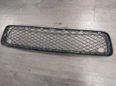 Решетка в бампер BMW X5 4.8i