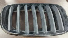 Решетка радиатора BMW X5 4.8i