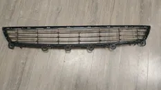 Решетка бампера передняя BMW X5 50iX