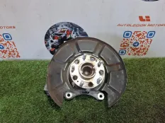 Кулак задний левый Hyundai Palisade