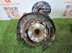 Кулак задний левый Kia Carnival