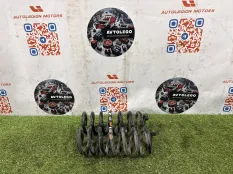 Пружины задние Land Rover Discovery Sport