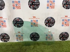 Стекло переднее правое BMW X6