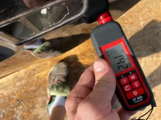 Дверь задняя левая Volvo S60