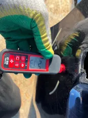 Дверь задняя правая Skoda Yeti