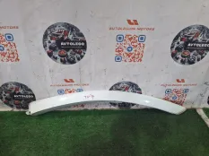Накладка Renault Twizy