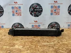Интеркулер Mini Countryman