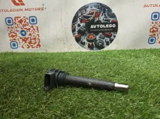 Катушка зажигания VW Tiguan