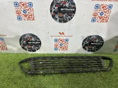 Решетка в бампер BMW X1