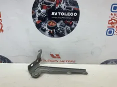 Петля капота VW Tiguan