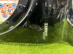 Крыло переднее левое Mercedes-Benz GLB