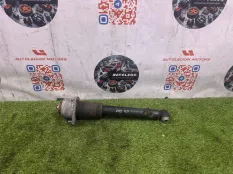 Амортизатор задний правый BMW X5