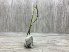 Замок двери MAZDA 3