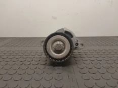 Натяжитель ремня генератора Renault Scenic рест.