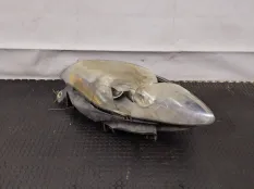 Фара правая Fiat Croma 2 рест. 2008 20001509