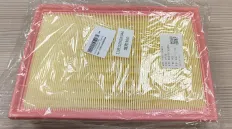 Фильтр воздушный  TANK 300 - 1109110XGW04A