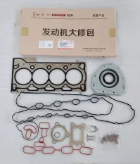 Ремкомплект ДВС - 1000600XEB03