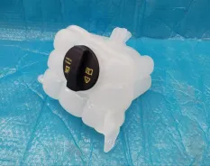 Бачок расширительный - 1311100XKQ00A