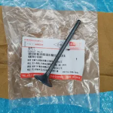 Клапан выпускной - 1007012EG01