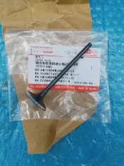 Клапан впускной - 1007011EG01