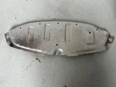 Защита Kia Carnival