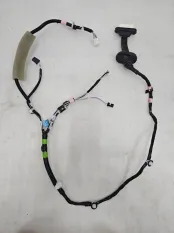 Проводка двери задней левой Toyota RAV4 XA50