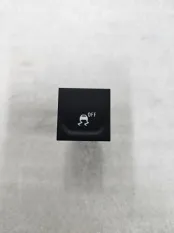 Кнопка курсовой устойчивости Renault Duster 2