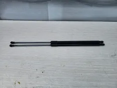 Амортизаторы капота Renault Duster 2