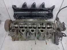 Головка блока цилиндров Renault Duster 1 2012 110421067R
