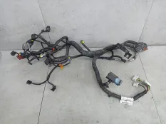 Проводка двигателя Nissan Qashqai J10 2008 24011JD03E
