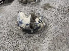 Подкрылок задний левый BMW 5 E60/E61 2005 51717033751