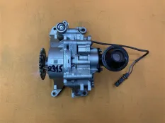 Насос масляный Land Rover Evoque L538 204DTD 2017