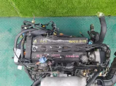 Двигатель HONDA STEPWGN RF1 B20B