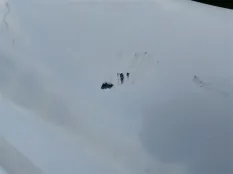 Бампер NISSAN PRESAGE U30, задний