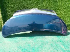 Капот TOYOTA TANK M900A