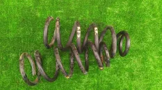 Пружина HONDA STEPWGN RF3 K20A, задняя