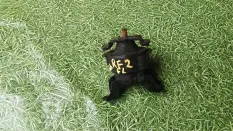 Подушка двигателя HONDA STEPWGN RF2 B20B, левая