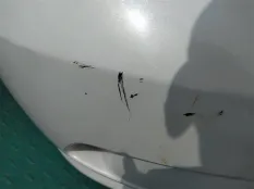 Nose cut HONDA ELYSION RR1 K24A