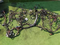 Электропроводка AUDI TT 8S CHH