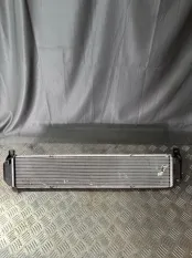 Интеркулер Exeed LX