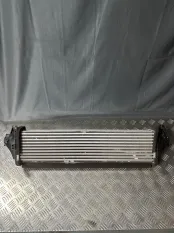 Интеркулер Exeed VX