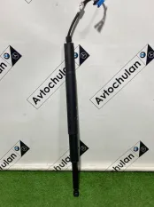 Амортизатор крышки багажника BMW 5-Series G31