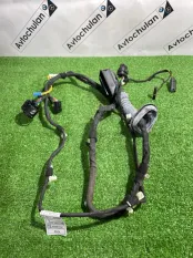 Проводка двери задняя BMW X5 F15