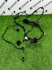 Проводка двери задняя BMW X5 G05 2023