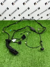 Проводка двери задняя BMW X5 G05 2019